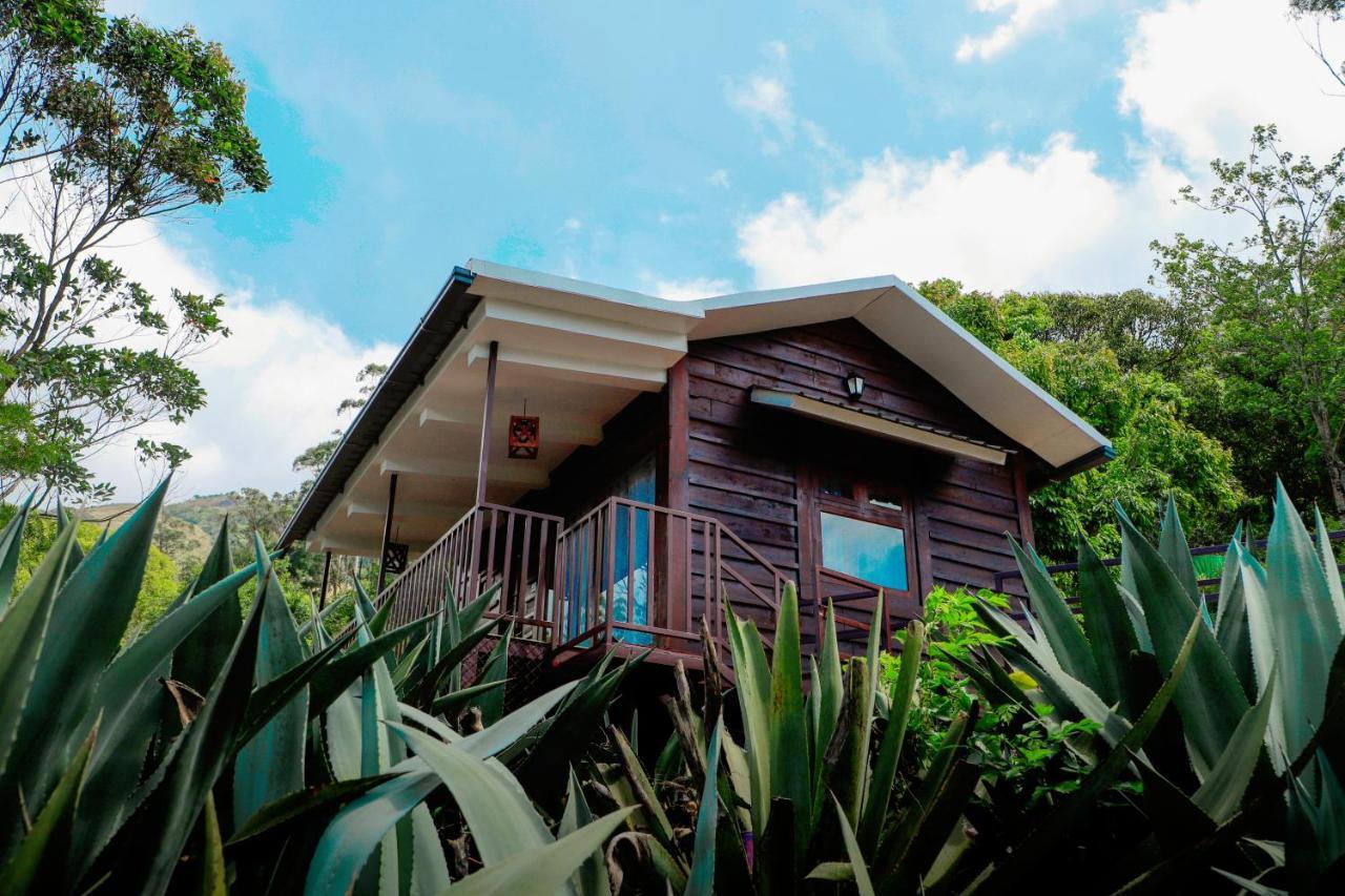 Wild Orchid Eco Tourism Munnar Esterno foto